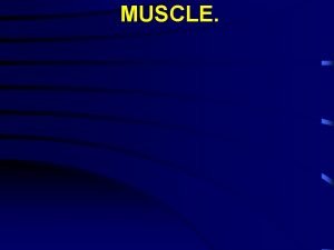 MUSCLE I Types of muscle A Striated muscle