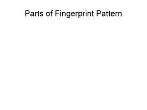 What are the two focal points of a fingerprint