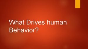 What drives behavior