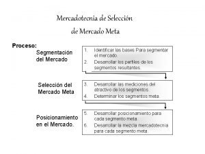 Mercadotecnia de Seleccin de Mercado Meta Proceso Segmentacin