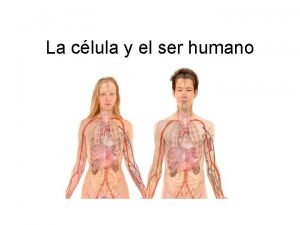 La clula y el ser humano La clula