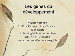 Les gnes du dveloppement Michel Vervoort UFR de