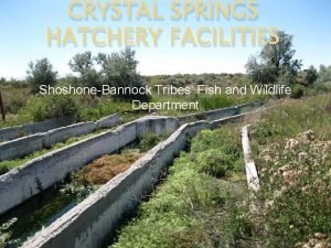 CRYSTAL SPRINGS HATCHERY FACILITIES ShoshoneBannock Tribes Fish and