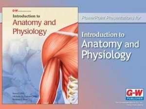 Chapter 12 The Lymphatic and Immune Systems Lesson