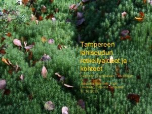 Tampereen taivaltajat