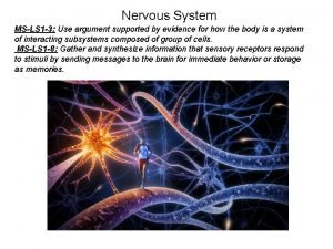 Nervous System MSLS 1 3 Use argument supported