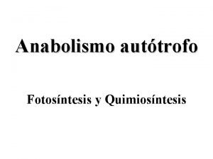 Anabolismo auttrofo Fotosntesis y Quimiosntesis Fotosntesis H 2