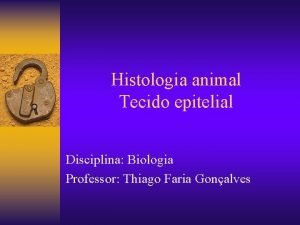 Histologia animal Tecido epitelial Disciplina Biologia Professor Thiago