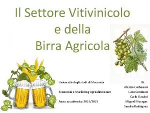 Il Settore Vitivinicolo e della Birra Agricola Universit