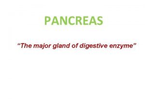 Pancreas artery