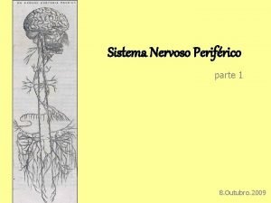 Sistema Nervoso Perifrico parte 1 8 Outubro 2009