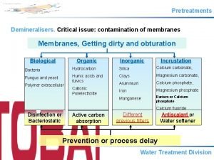 Pretreatments Demineralisers Critical issue contamination of membranes Membranes