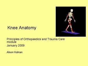 Knee Anatomy Principles of Orthopaedics and Trauma Care