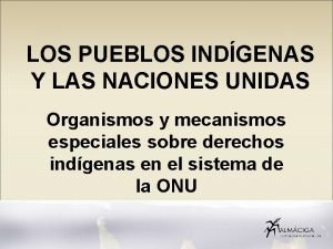 LOS PUEBLOS INDGENAS Y LAS NACIONES UNIDAS Organismos