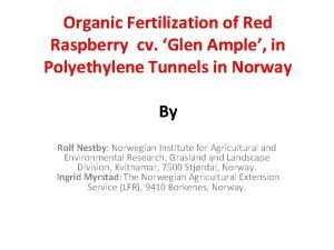 Organic Fertilization of Red Raspberry cv Glen Ample