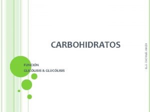 FUNCIN GLICLISIS GLUCLISIS KENNY BRACHO 11B CARBOHIDRATOS QU