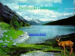 Zaponi