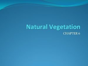 What is natural vegetation