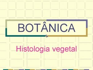 BOT NICA Histologia vegetal Tecidos Meristemticos ou Embrionrios