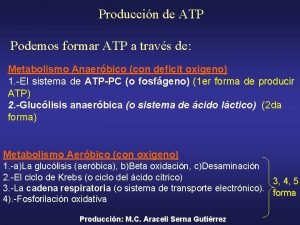 Produccin de ATP Podemos formar ATP a travs