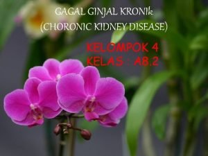 GAGAL GINJAL KRONIk CHORONIC KIDNEY DISEASE KELOMPOK 4
