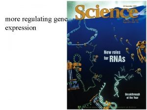 more regulating gene expression Gene Expression is controlled