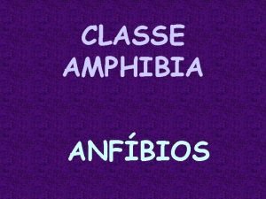 CLASSE AMPHIBIA ANFBIOS Transio do meio aqutico para