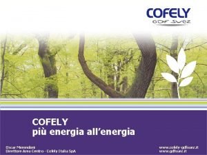 COFELY pi energia allenergia Oscar Merendoni Direttore Area