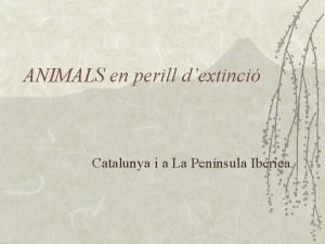 Animals en perill d'extinció a catalunya