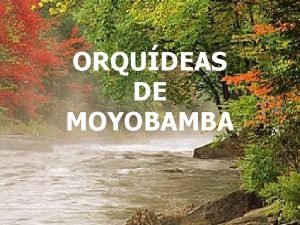 ORQUDEAS DE MOYOBAMBA NO TE OLVIDES DE SONREIR