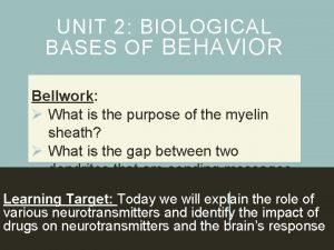 Unit 2 biological bases of behavior answer key