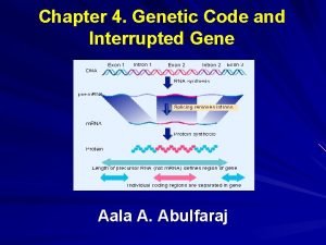 Chapter 4 Genetic Code and Interrupted Gene Aala