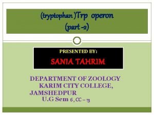 tryptophan Trp operon part 2 PRESENTED BY SANIA