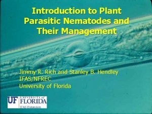 Morphology of nematodes Morphology of nematodes