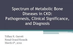Spectrum of Metabolic Bone Diseases in CKD Pathogenesis