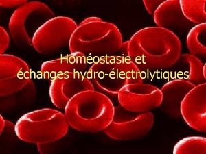 Homostasie et changes hydrolectrolytiques Plan n Quelques dfinitions