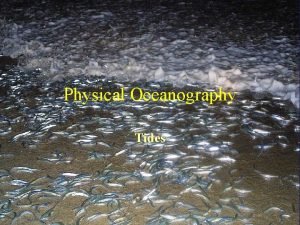 Physical Oceanography Tides 1 31 Tides are caused
