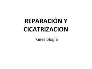 REPARACIN Y CICATRIZACION Kinesiologa Generalidades proceso reparativo Al