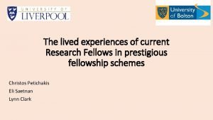 The lived experiences of current Research Fellows in