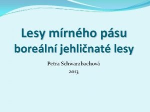 Lesy mrnho psu boreln jehlinat lesy Petra Schwarzbachov