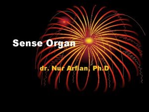 Sense Organ dr Nur Arfian Ph D MACAM