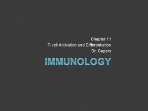 Chapter 11 Tcell Activation and Differentiation Dr Capers