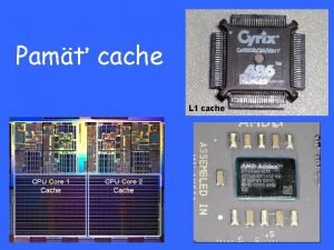 L caches
