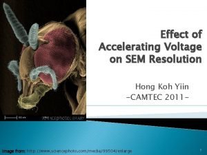 Effect of accelerating voltage on sem resolution