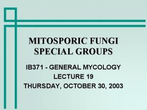 MITOSPORIC FUNGI SPECIAL GROUPS IB 371 GENERAL MYCOLOGY