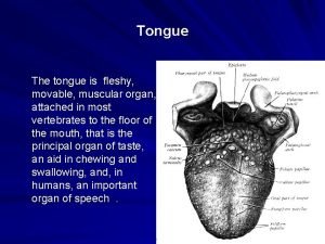 Tongue The tongue is fleshy movable muscular organ