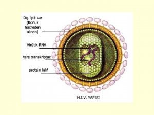Elisa Testi ANTI HIV Testi Kii HIV ile