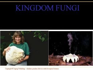 KINGDOM FUNGI Copyright Sugeng Publishing silahkan gunakan slide