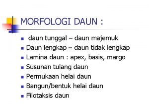 Morfologi daun tunggal