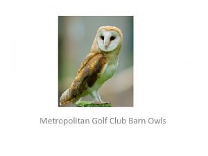Metropolitan Golf Club Barn Owls Metropolitan Golf Club